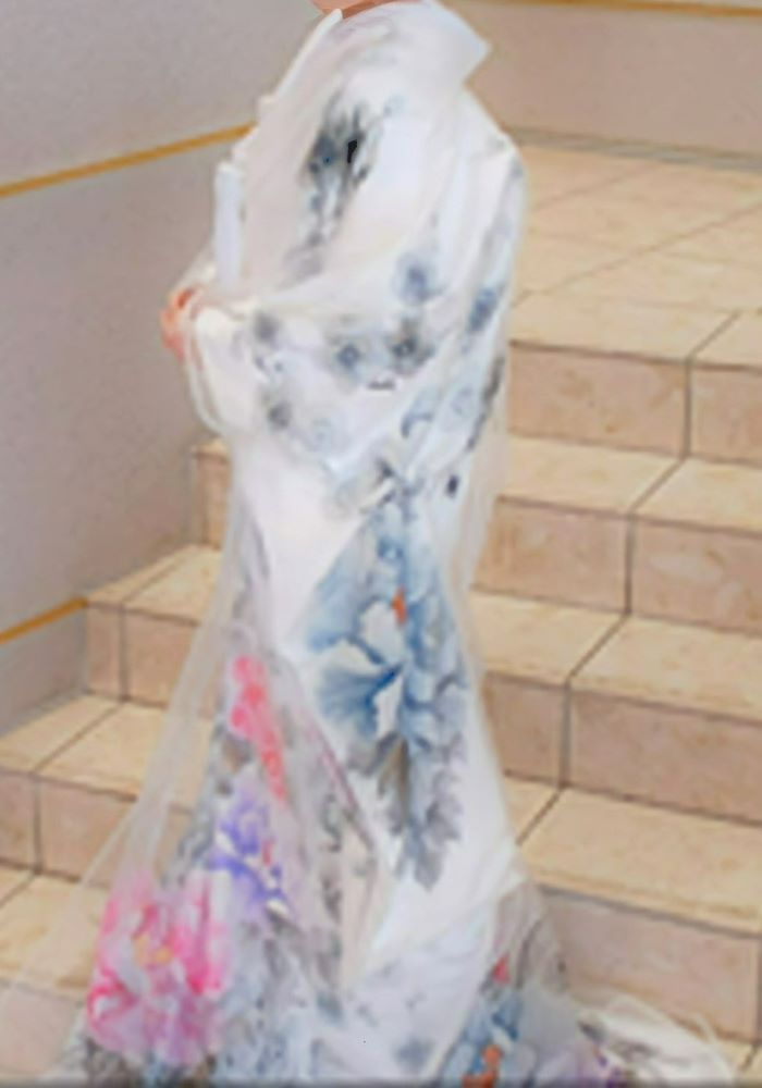 墨絵梅に牡丹トレーン